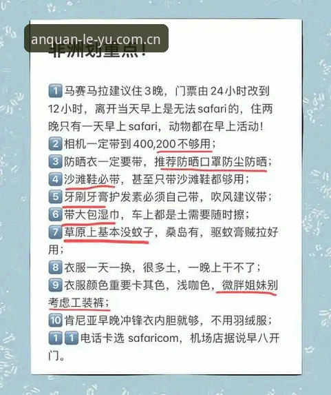 从马赛更衣室斗殴看职业足球管理：决策者必备的危机处理完整指南